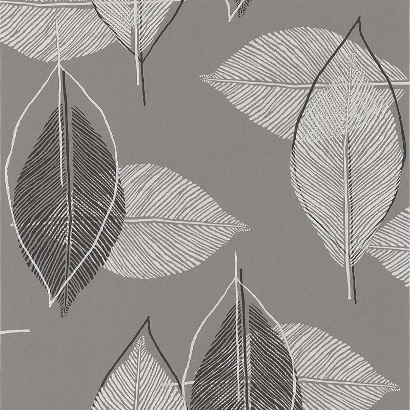 Papier peint FEUILLE GRAPHIQUE TAUPE/NOIR - 51143309 de la ...